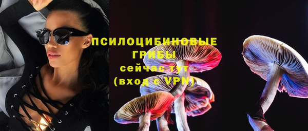 молекула духа Алзамай