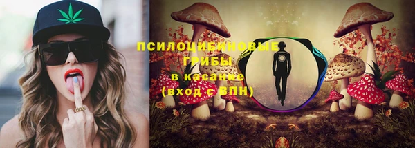 молекула духа Алзамай
