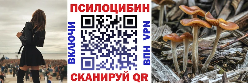 закладки  Снежинск  Галлюциногенные грибы ЛСД 
